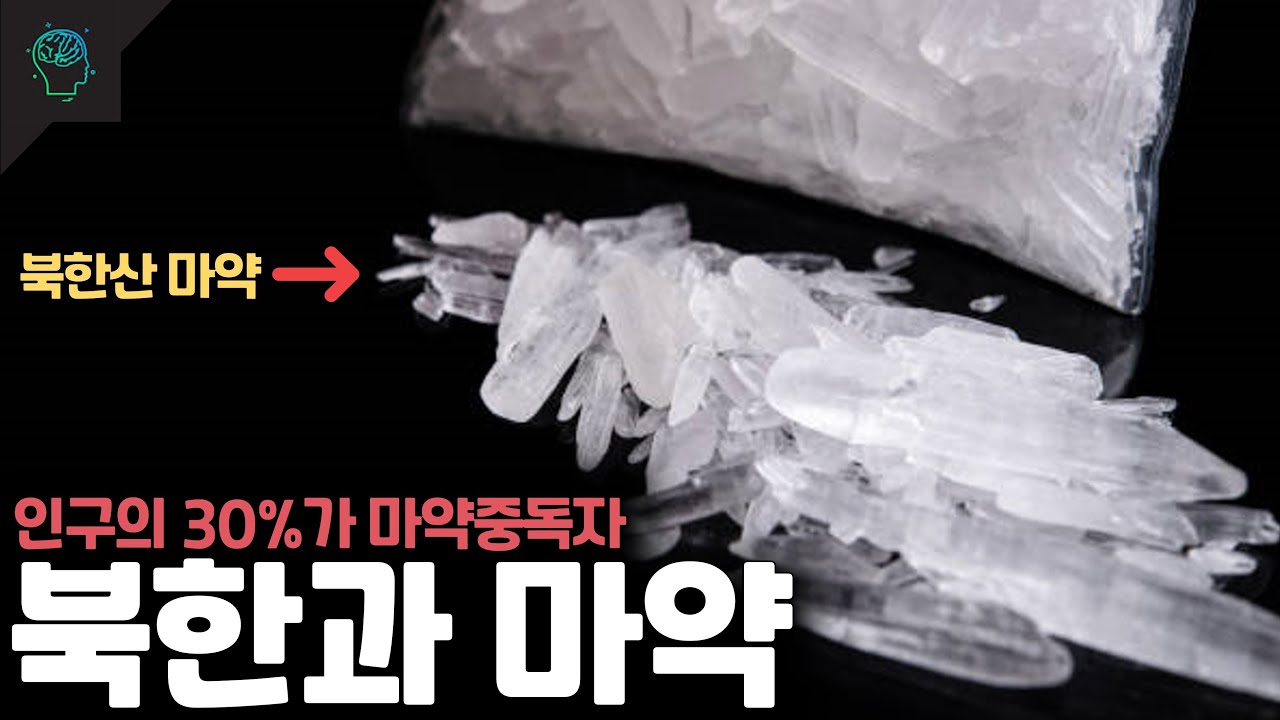 인구의 30% 이상이 마약 중독자이자 생산자 북한과 마약