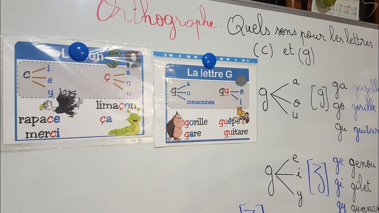 Orthographe : Quels sons pour les lettres (c) et (g) pages 24 et 25 manuel et 19 cahier d'exercices