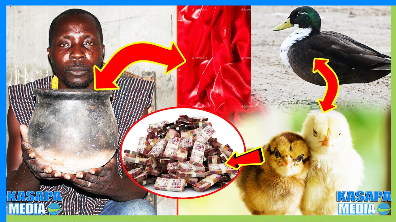 WOW WHO SAY POWER NO DEY?, I DON'T DO INSTANT MONEY NANA SEI KOMFO) REVEALS  HOW HE DO SIKA DURO