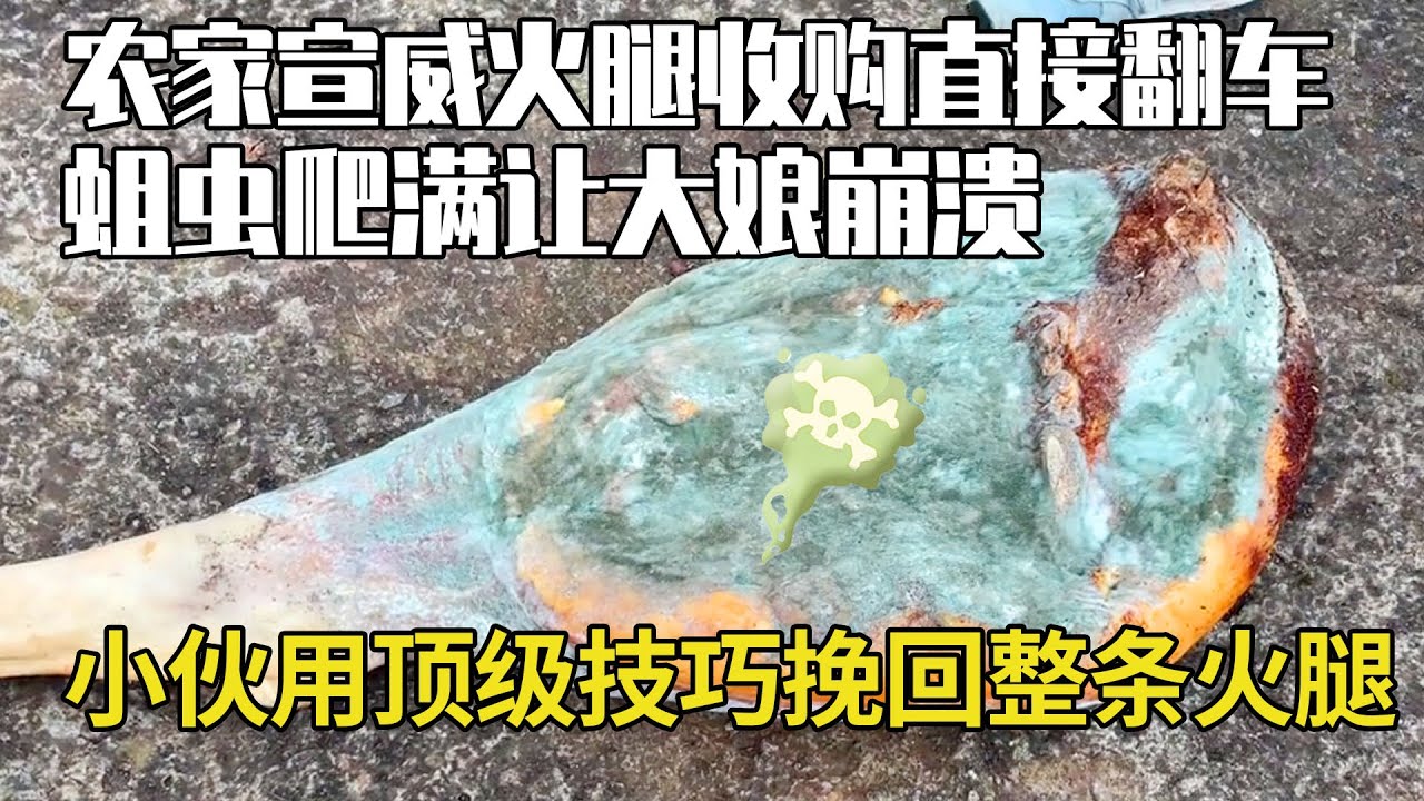 二十公斤農家宣威火腿收購直接翻車！蛆蟲爬滿讓大娘崩潰，小夥竟用頂級技巧挽回整條火腿！【彪哥火腿】