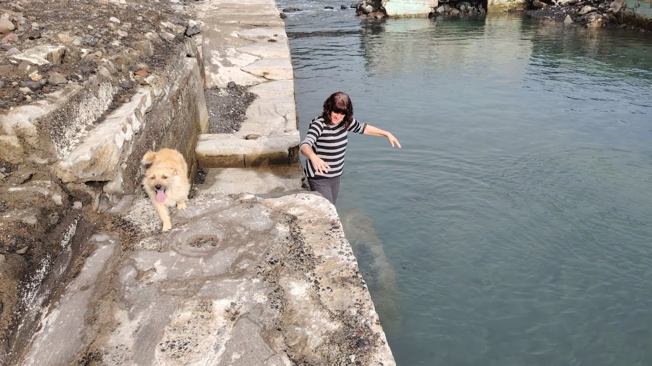 A Day in My Life Living in Feteiras, São Miguel,Azores,Portugal #açores #portugal #summervibes #pdl