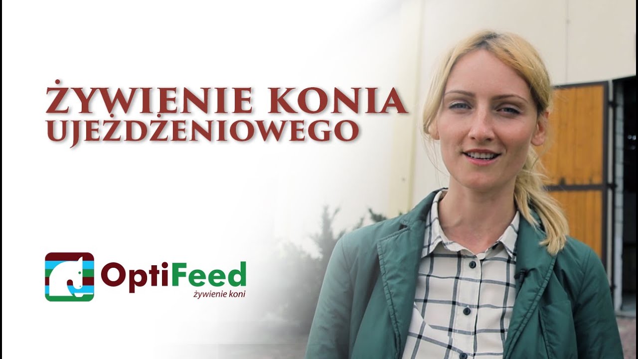 Żywienie konia ujeżdżeniowego