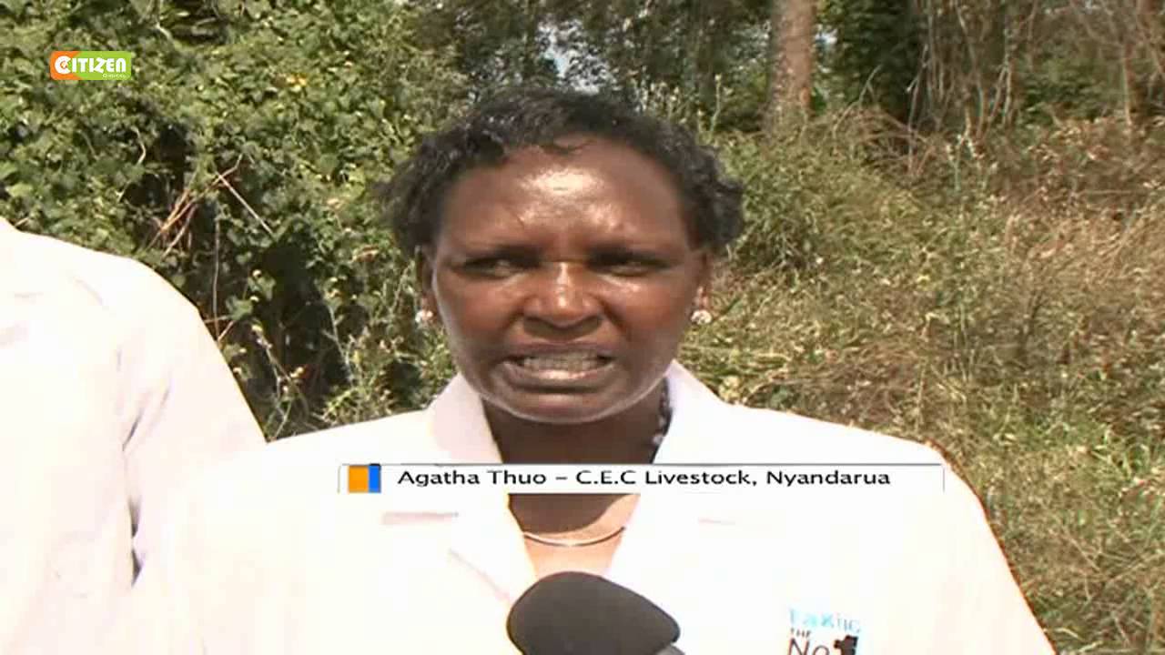 Livestock Vaccination Campaign