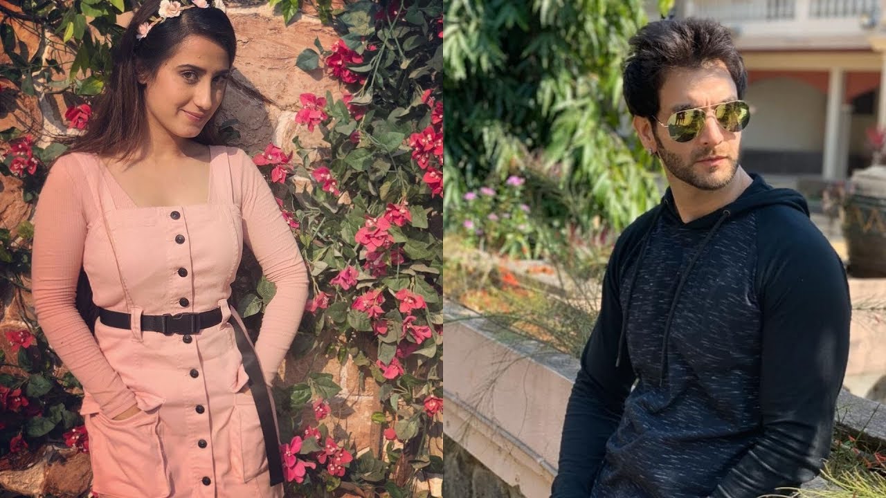 Aalisha Panwar And Vineet Raina To Reunite For THIS Show | TV | SpotboyE