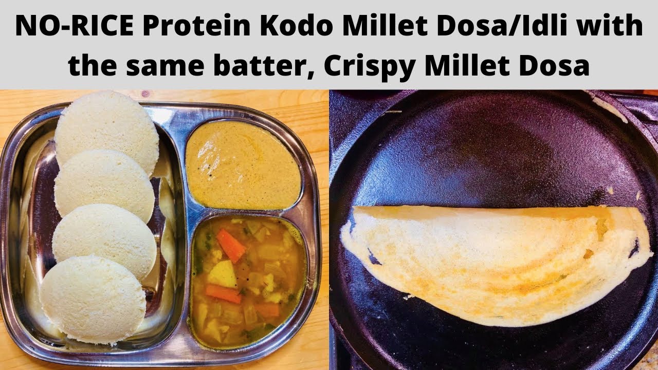 No-Rice Kodo Millet Idli & Dosa | Millet Dosa and Idli | Protein Idli -Dosa batterI millet Idli dosa