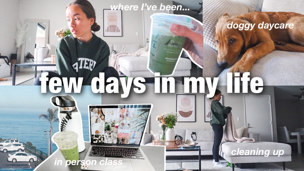 DAYS IN MY LIFE & where I've been!