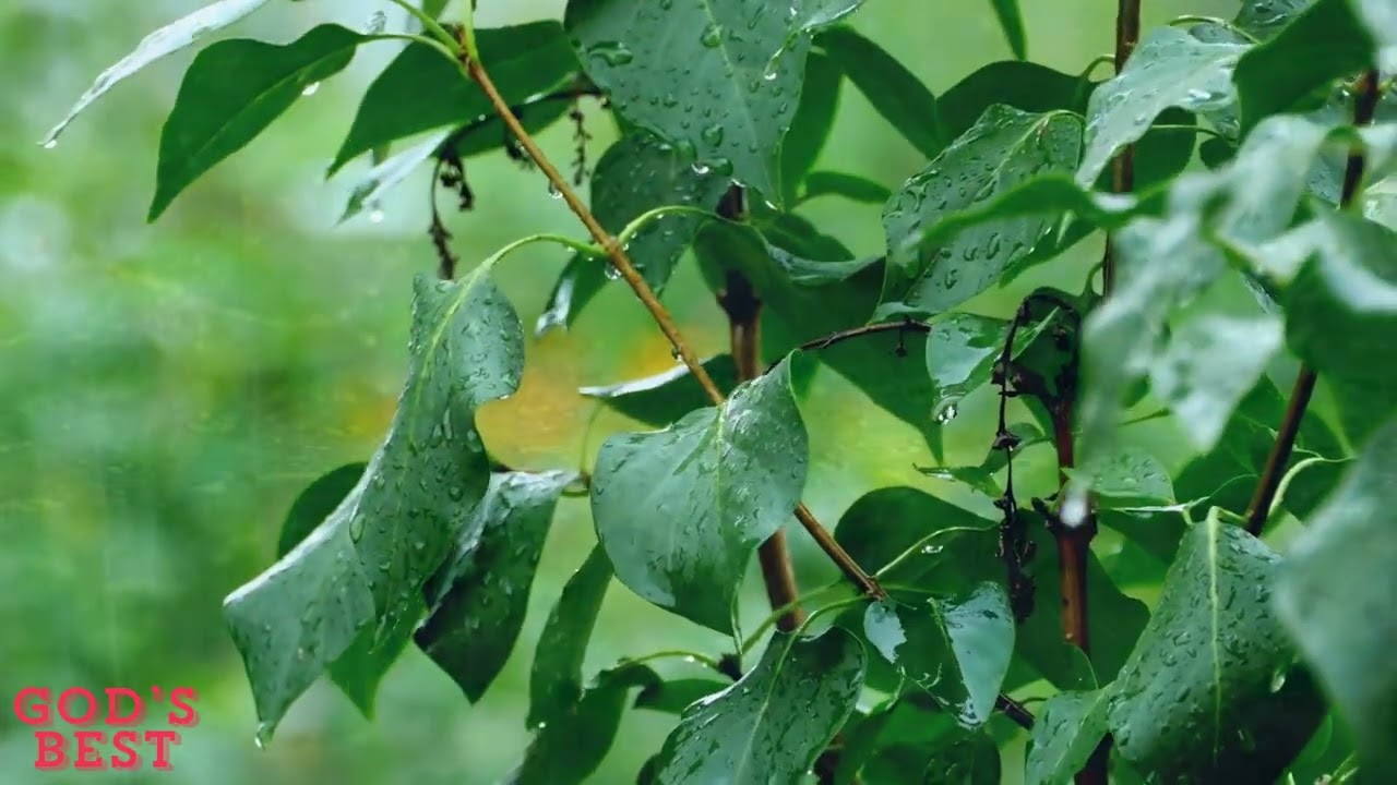 UNIQUE RAIN DROPS SOUND WITH THERAPEUTIC SLEEPING MUSIC