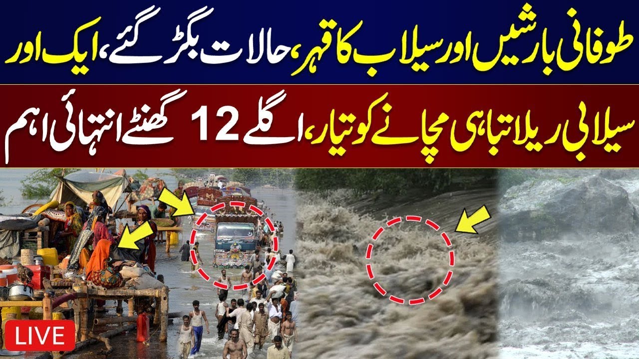 🔴 LIVE: Heavy Rain And Flood Havoc in Punjab | Latest Updates on Flood Situation