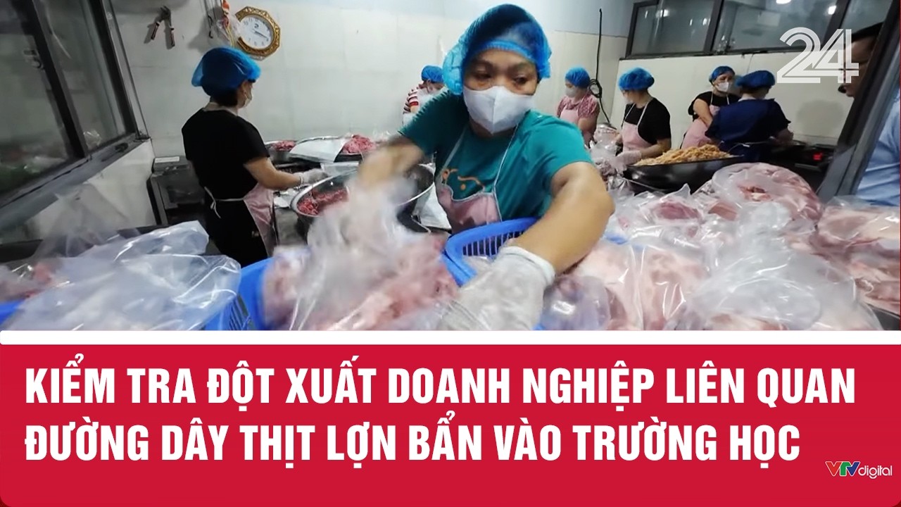 Kiểm tra đột xuất doanh nghiệp li&ecirc;n quan đường d&acirc;y thịt lợn bẩn v&agrave;o trường học | VTV24
