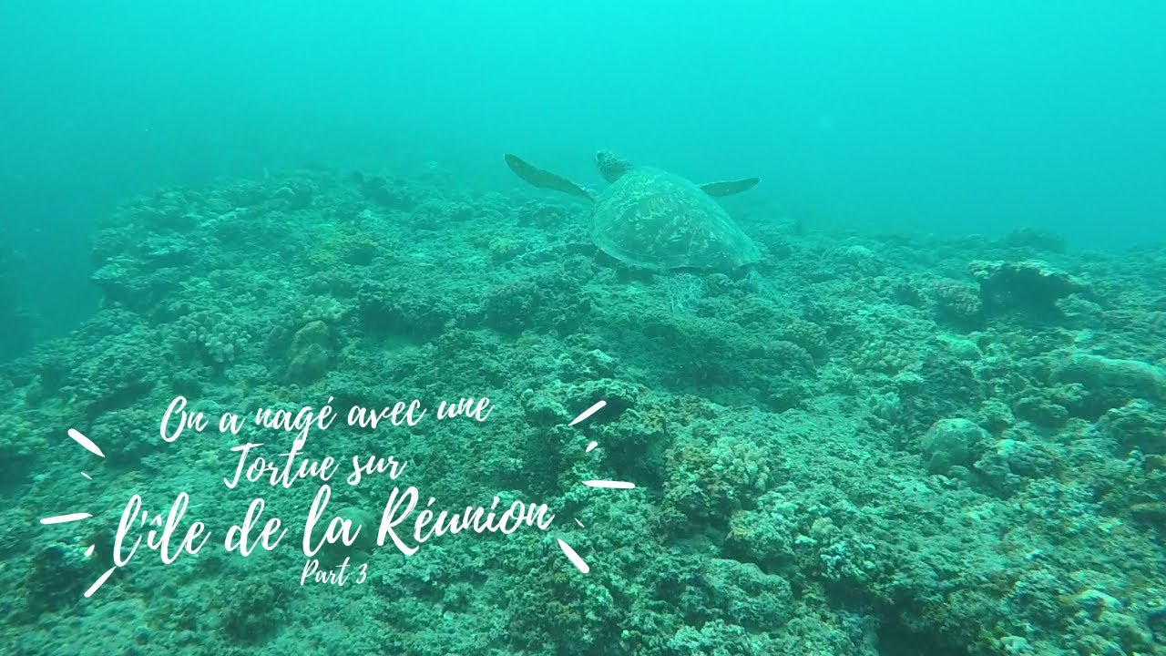 L'île de la réunion 3ème partie