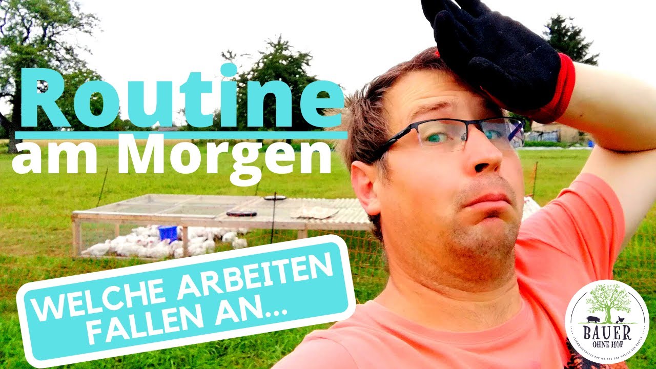 Routine f&uuml;r H&uuml;hnerhalter - welche Arbeiten falle an (Teil 1)