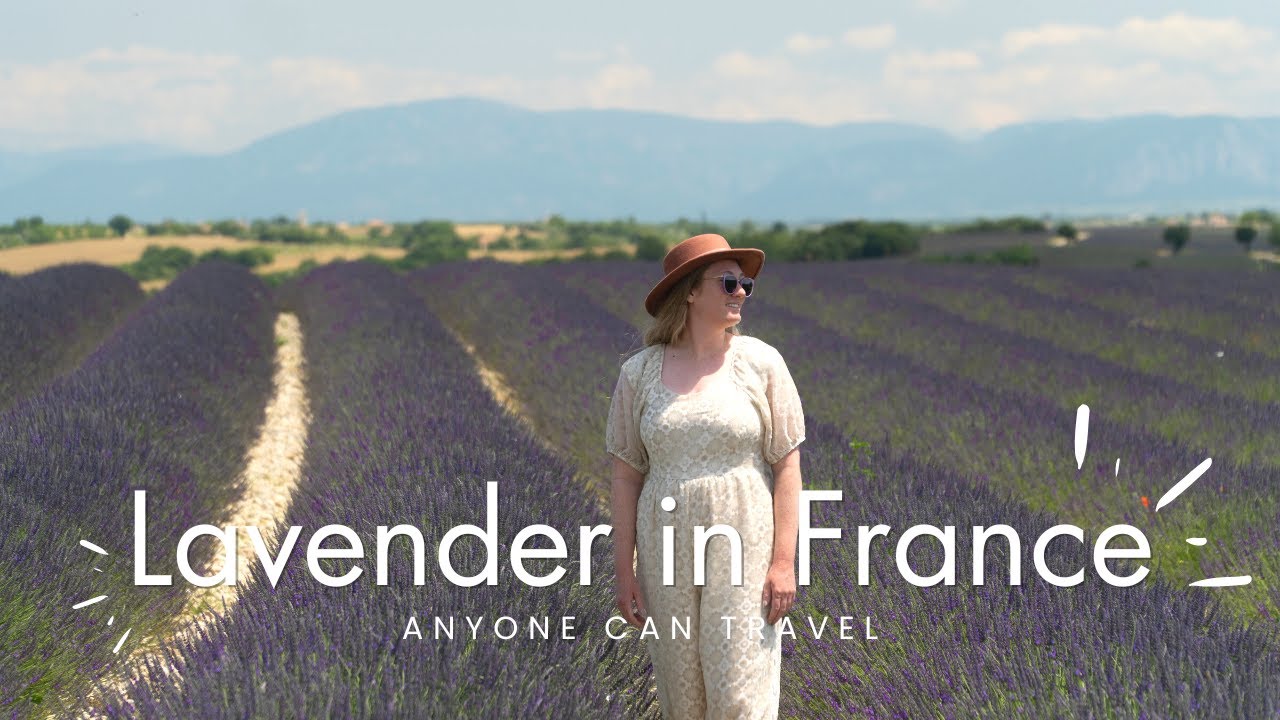 Where to see lavender fields in France | Provence France travel vlog