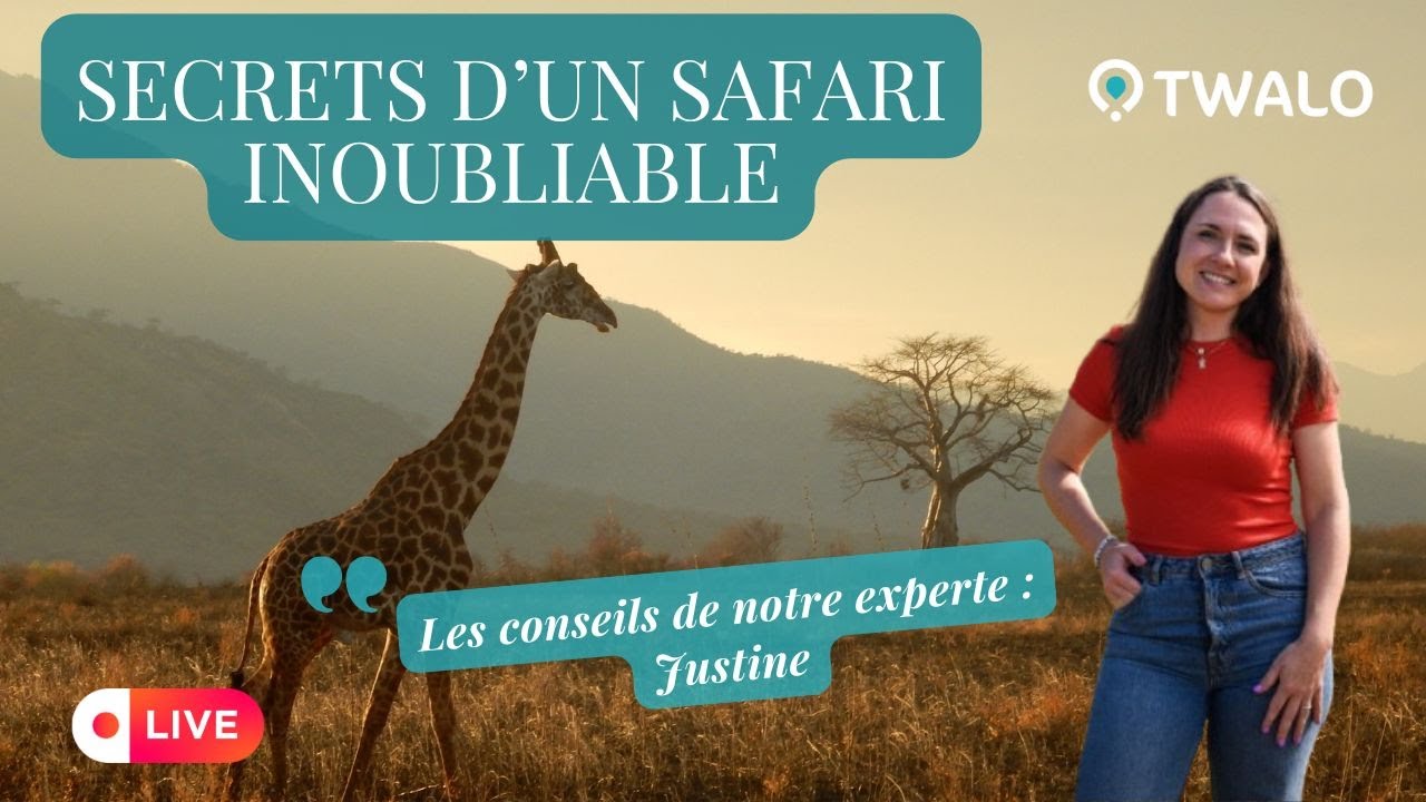 Twalo Live 🦁 : Découvrez les secrets d’un safari en Afrique