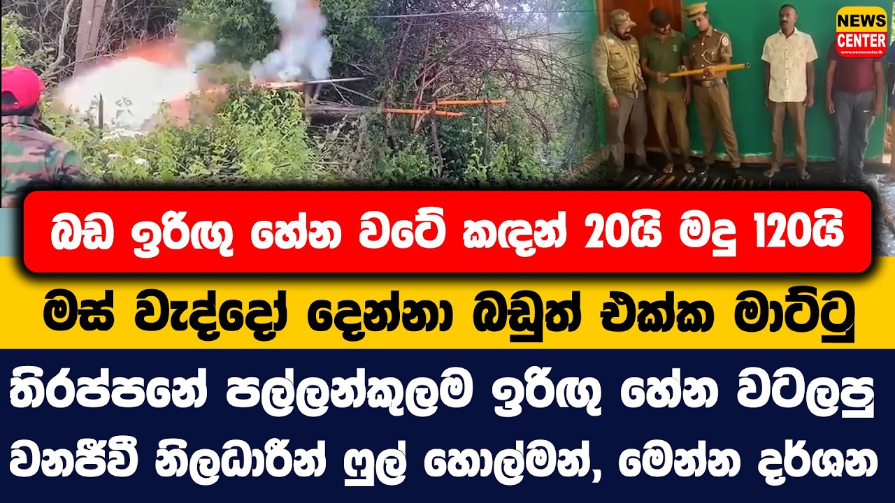බඩ ඉරිඟු හේන වටේ කඳන් 20යි මදු 120යි | මස් වැද්දෝ දෙන්නා මාට්ටු | වනජීවී නිලධාරීන් ෆුල් හොල්මන්