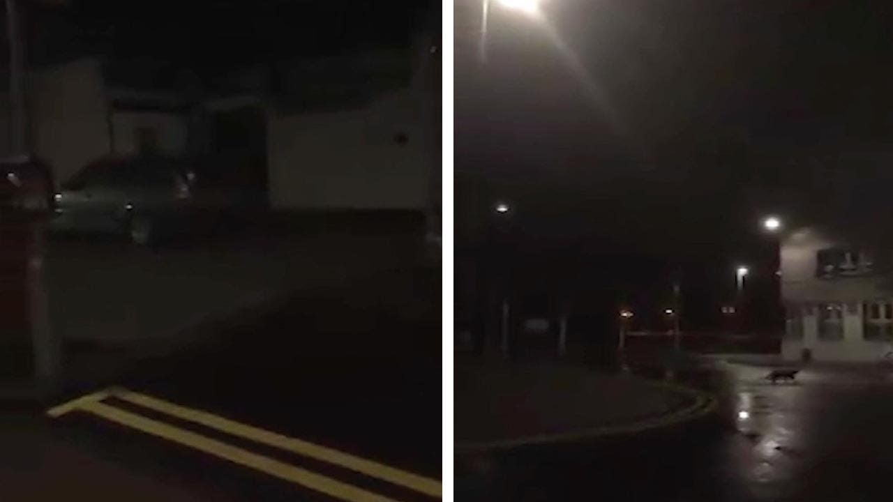 Is There A Werewolf In Scotland?