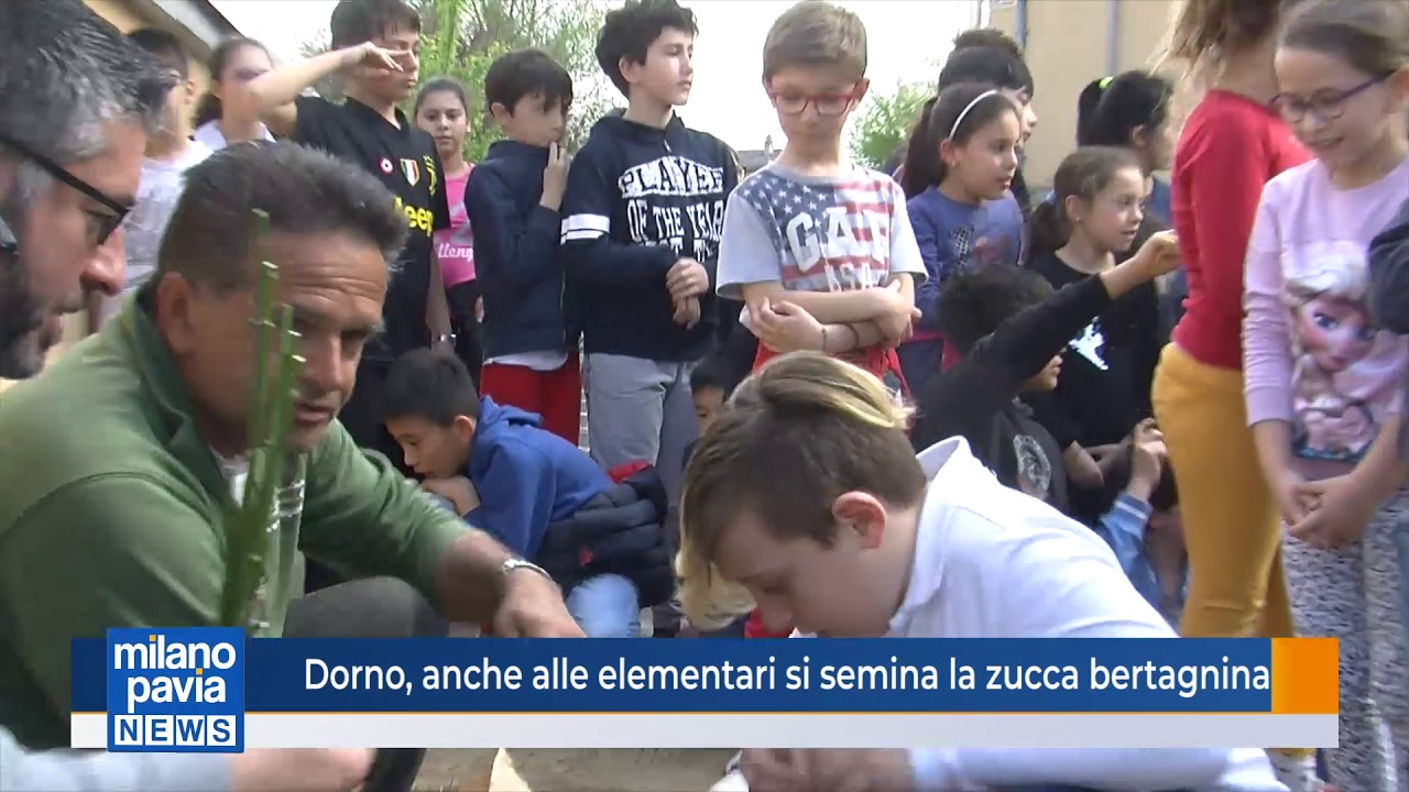 Dorno, anche alle elementari si semina la zucca bertagnina