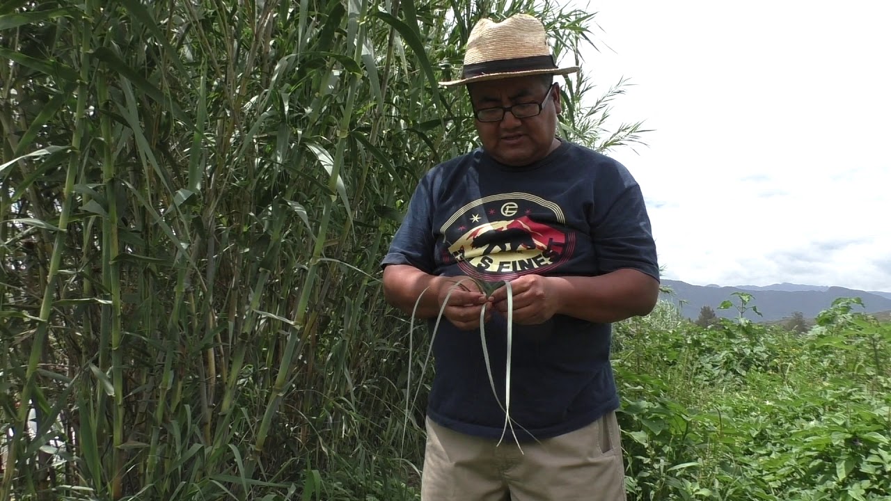 San Jer&oacute;nimo Tlacochahuaya Zapotec &ndash; Weaving Cane Leaves