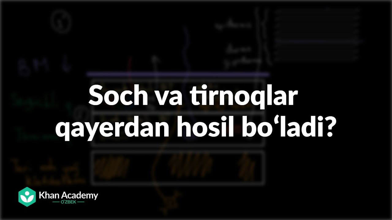 Soch va tirnoqlar qayerdan hosil boʻladi? |  Tanani qoplovchi tizim | Tibbiyot