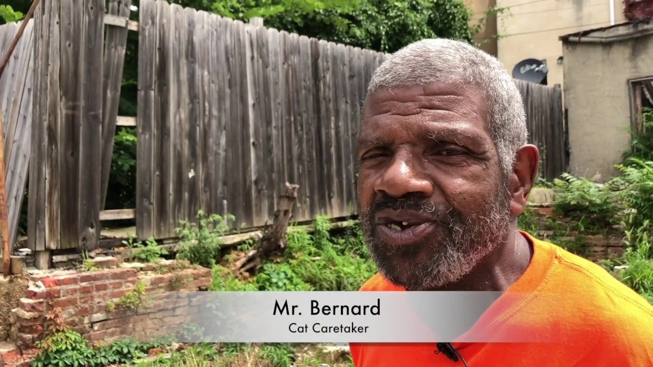 Community Cat Program