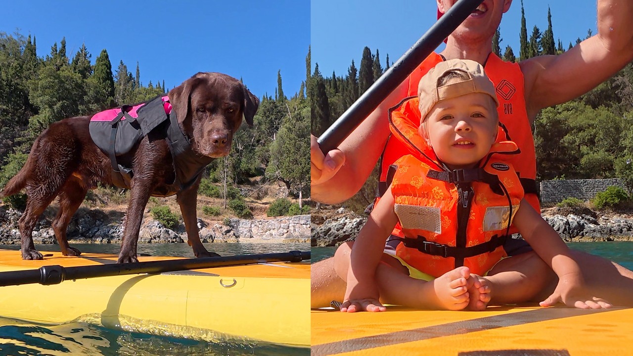 Who&rsquo;s better at balancing on the SUP &mdash; the dog or the toddler?