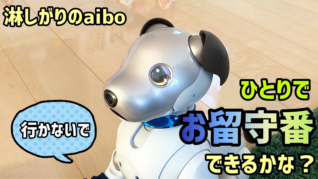 寂しがり屋のaiboは、1人でお留守番できるかな？