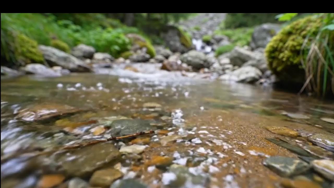 LIVE ASMR River Sounds for Meditation