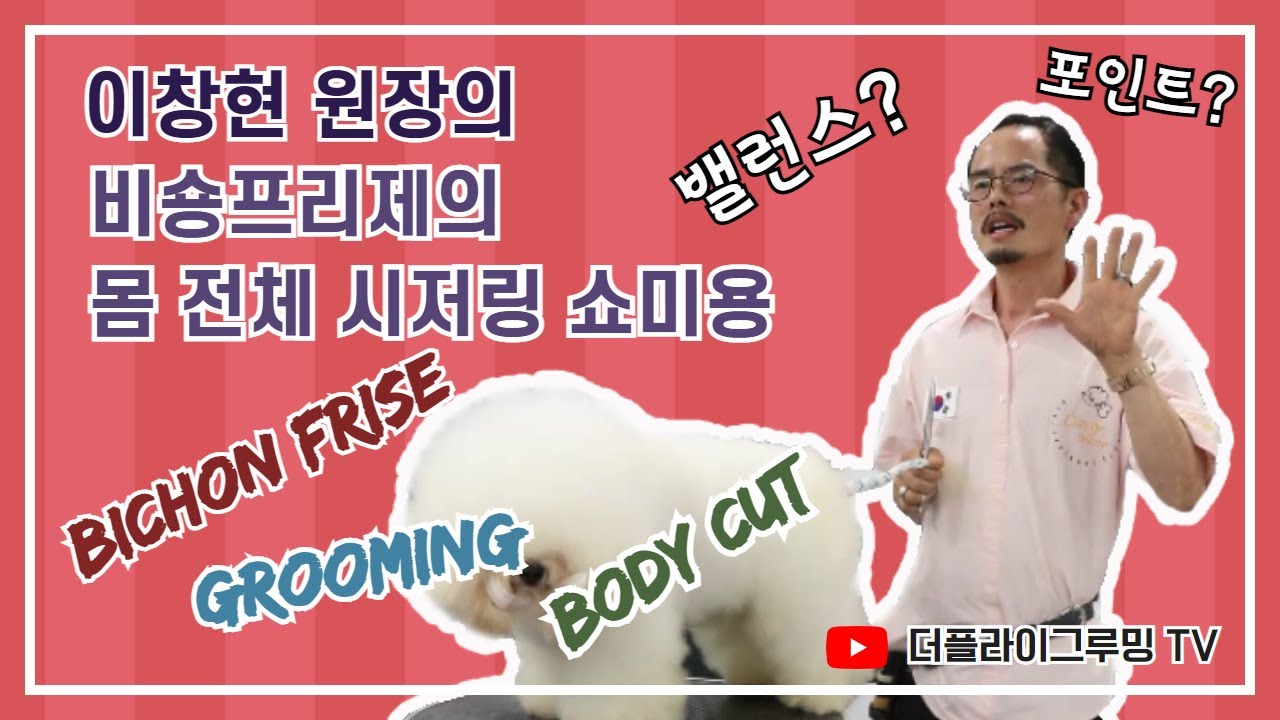 이창현 원장의 비숑프리제 몸 전체 시저링 쇼미용 동영상 / bichon frise's grooming