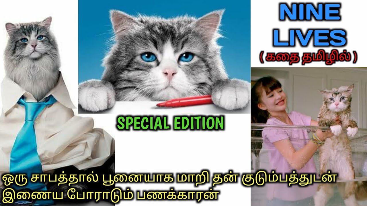 ஒரு பணக்காரனின் பூனை வாழ்கை|TVO|Tamil Voice Over|Tamil Dubbed Movies Explanation|Tamil Movies