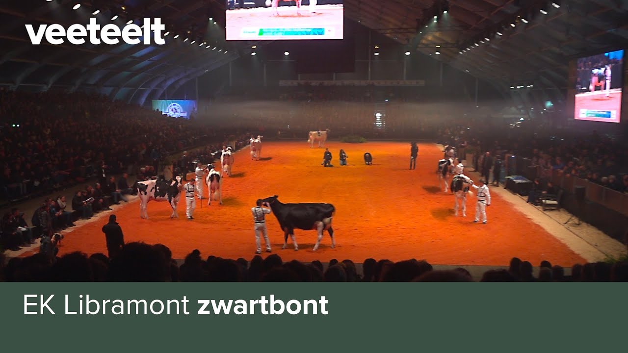 EK Libramont zwartbont