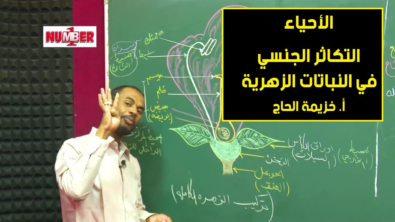 الأحياء | التكاثر الجنسي في النباتات الزهرية | أ.خزيمة الحاج | حصص الشهادة السودانية