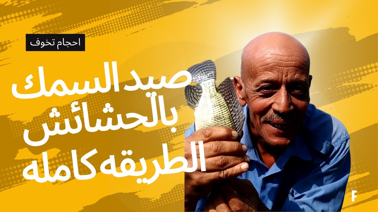 مش هتجيب سمك احجام اليومين دول غير بالطريقه دى حصل موقف غريب بوظلنا اليوم كله