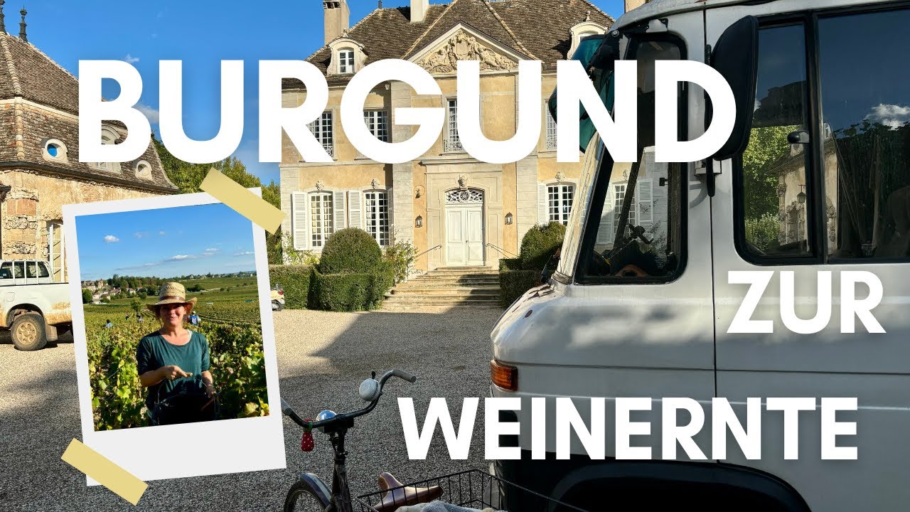 So werden die besten Weine Frankreichs gemacht...