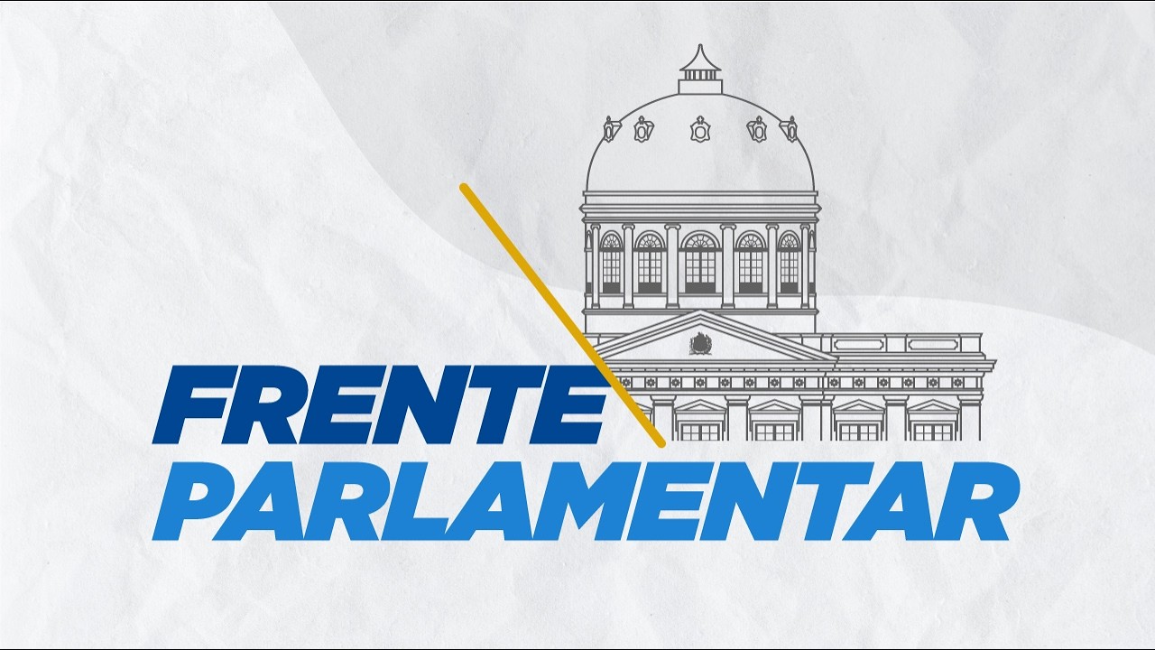 FRENTE PARLAMENTAR EM DEFESA DA UPE | 17/03/2026