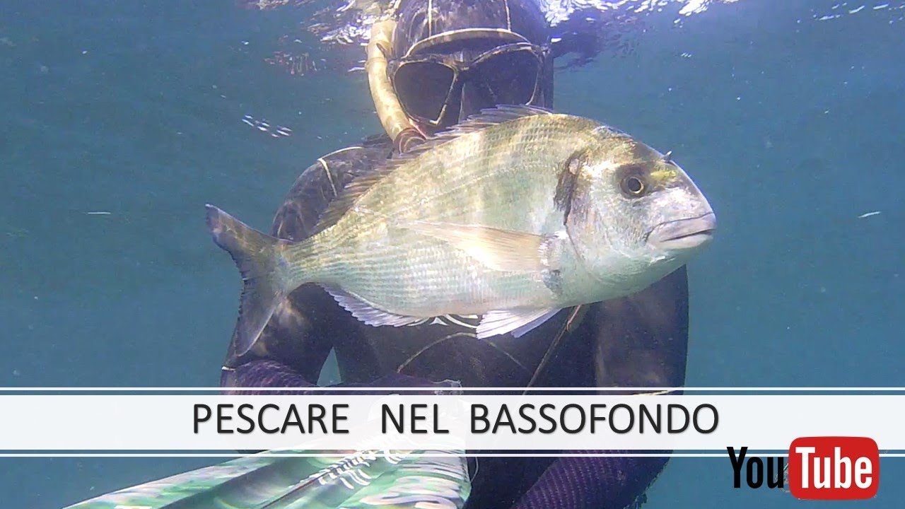 pescasub : Pescare nel BASSOFONDO di Santa Marinella