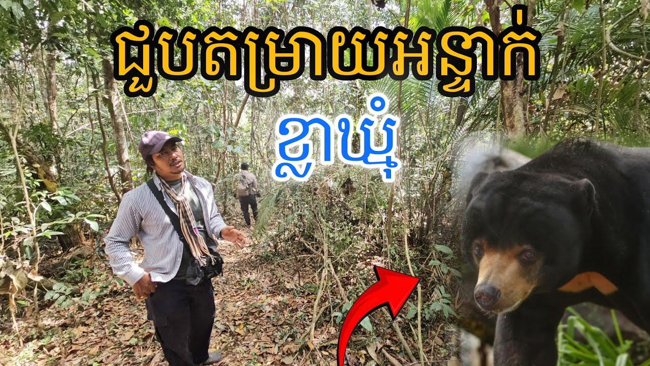 ជួបតម្រាយអន្ទាក់ ខ្លាឃ្មុំ នៅលើភ្នំខ្មោច