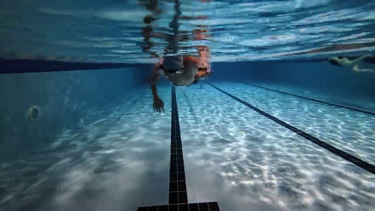 Swim Analyze March 2026