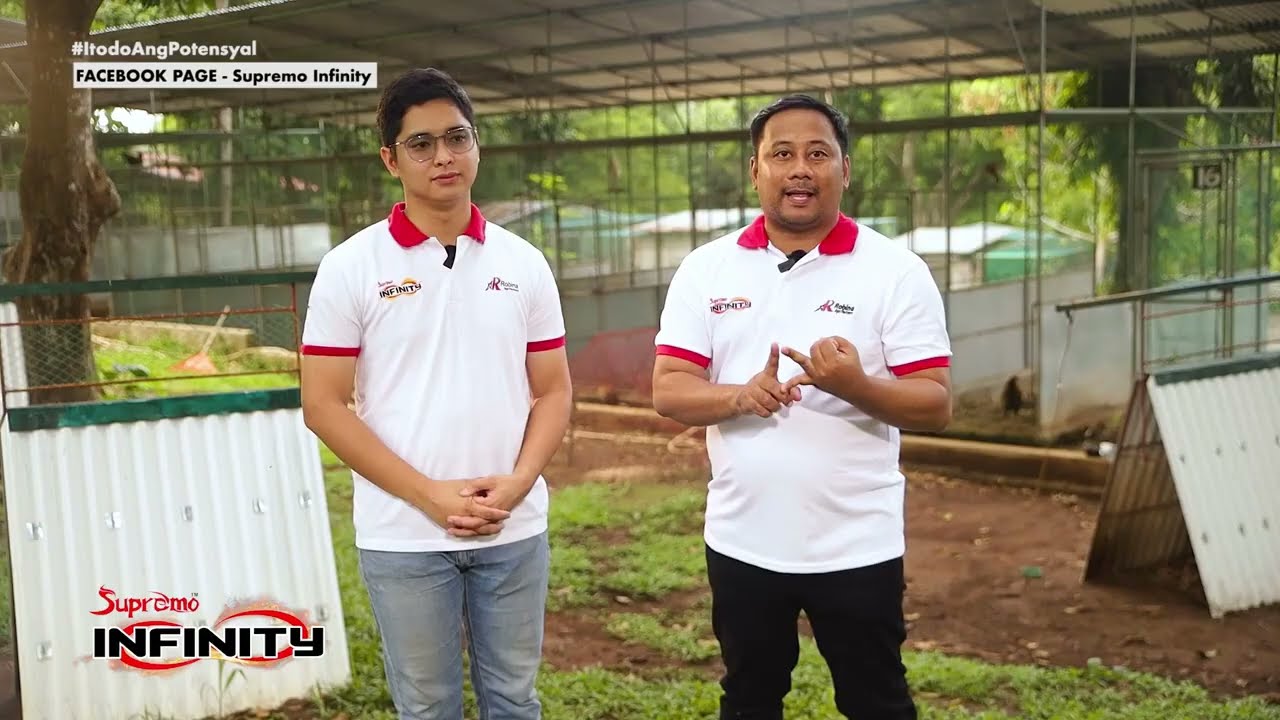 Itodo ang Potensyal | Tamang nutrisyon para sa inyong alagang sisiw