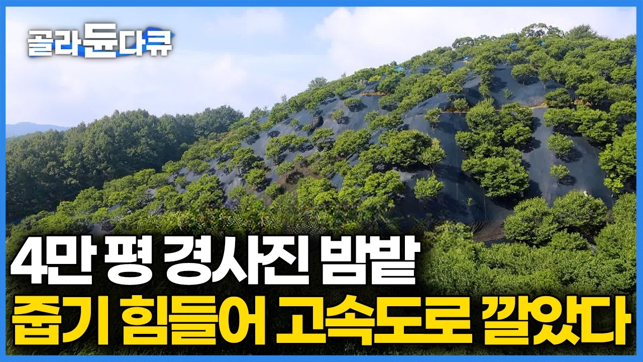 4만 평 경사진 땅에서 밤 주우려니 허리가 남아나질 않아 손수 고속도로를 깔았다, 더 이상 힘 안 들이고 밤 줍는 농부｜한국기행｜#골라듄다큐