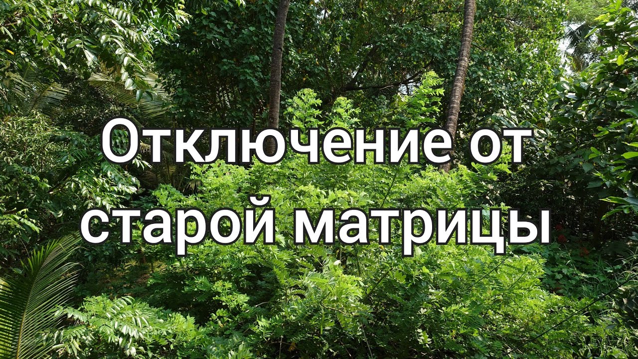 Земля в статусе живой игровой платформы. Отключение от старых программ