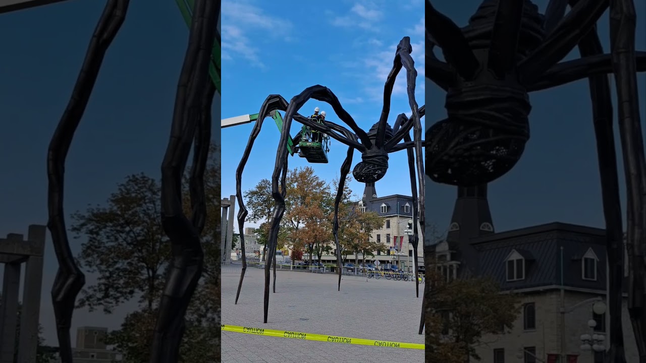 Spider Maintenance Short