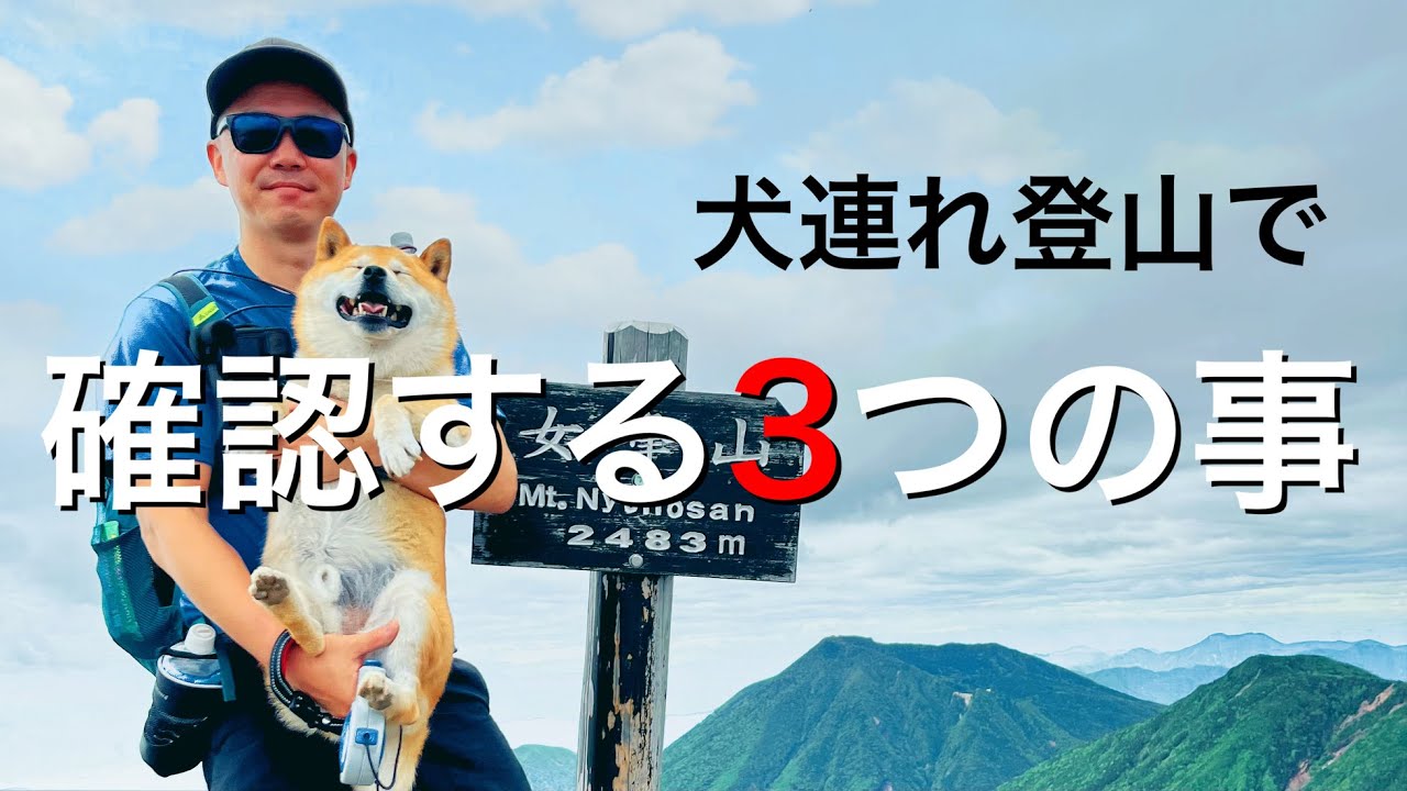 【はじめてのワンコ登山】犬連れ登山初心者必見！犬を連れて登山をする時に確認する３つのこと
