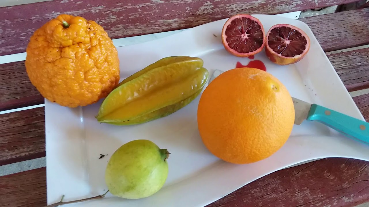 Первые фрукты в январе! Карамбола, гуава, красный апельсин, мандарин «Голд Наггет», «Вашингтон На...