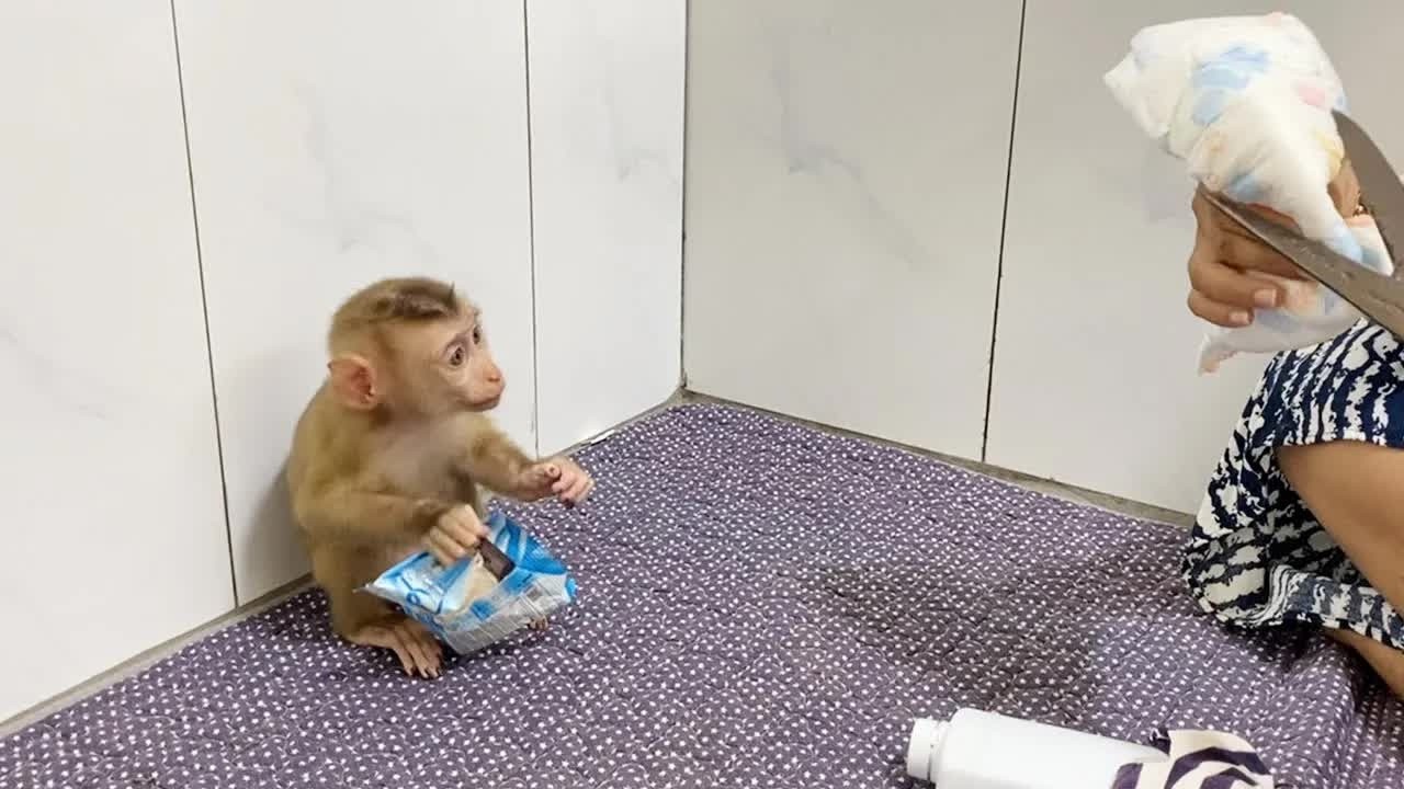 Hahaha! Baby DAM Moving Backward To Wall Reject Change Diaper