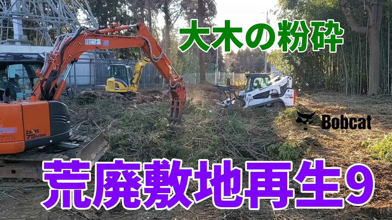【荒廃敷地再生9】Bobcatで大木の粉砕をしてきました！