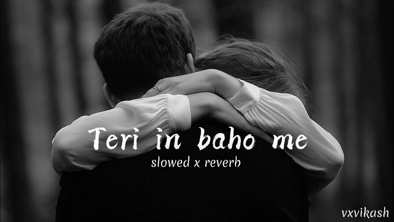 Teri in baho me 🫂 lofi song ||slowed x reverb|| Udit Narayan/Alka Yagnik #song #lofi $