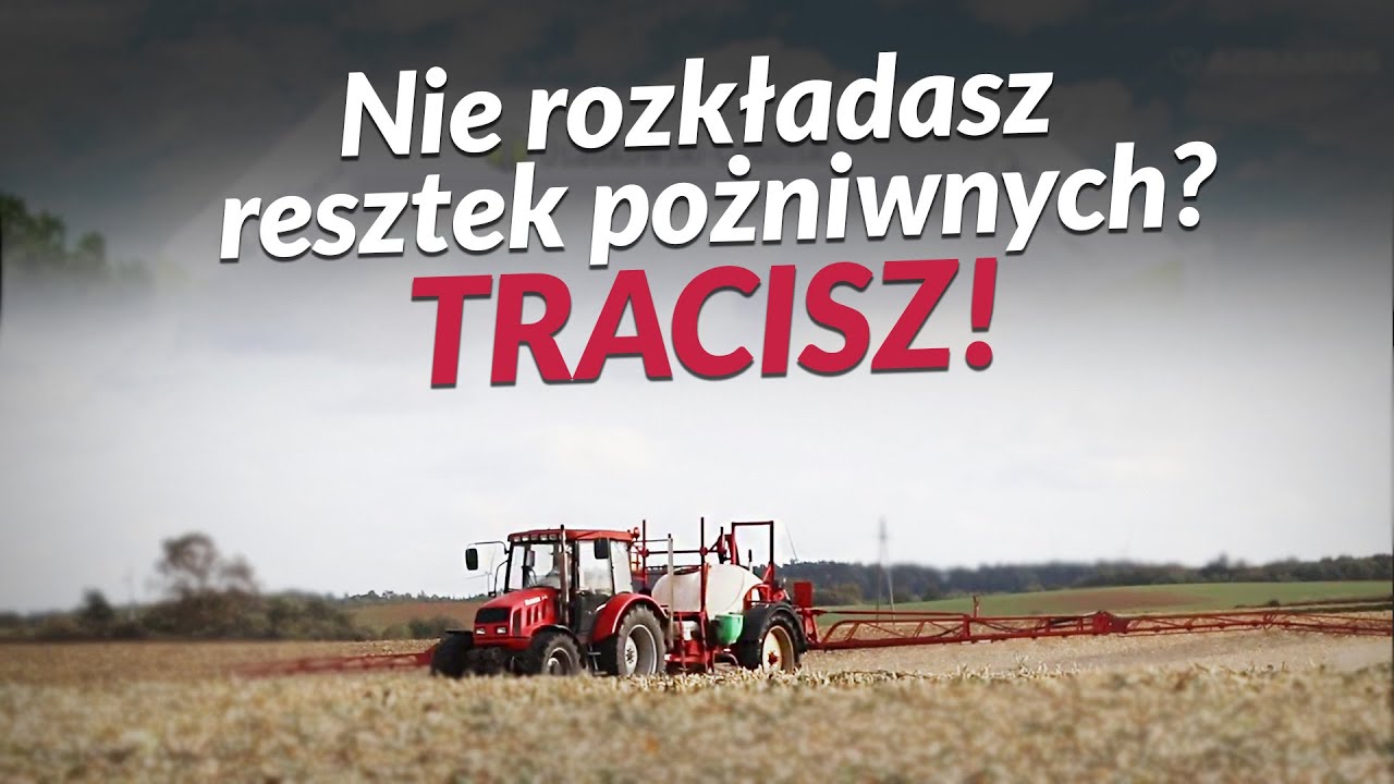 Nie rozkładasz resztek? Tracisz! Resztki pożniwne po kukurydzy cz.1 | GR Dominik Nowakowski
