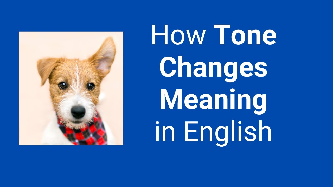 Tone is More Important Than Words 