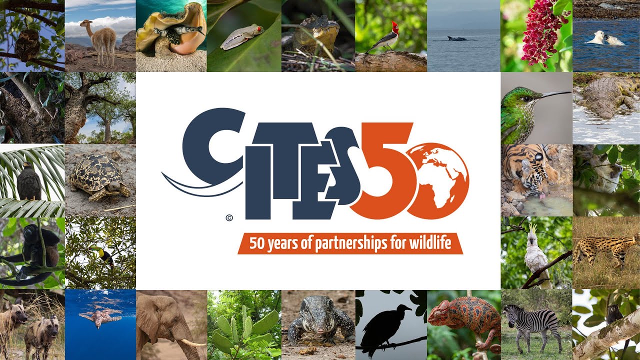 CITES 50 años