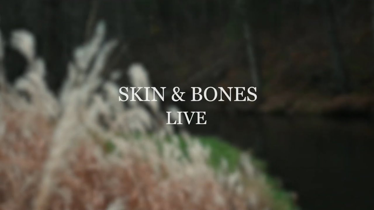 Skin & Bones (Live Acoustic) - Bryce Hedtke