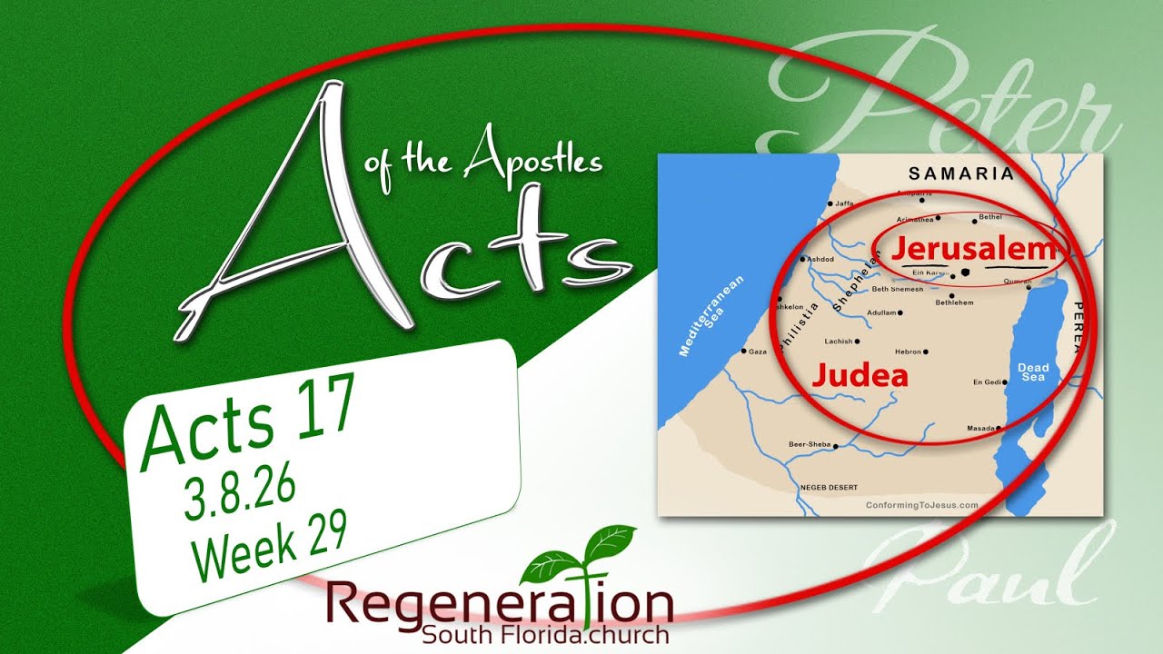 Regeneration 3/8/26